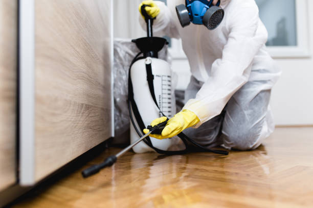 Best Residential Pest Control  in Woodland, WA