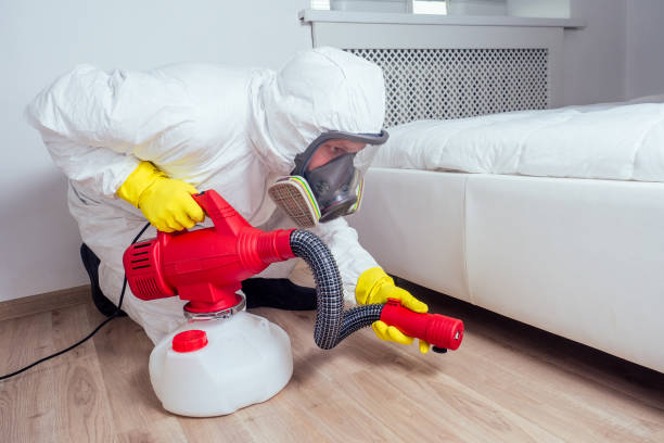 Professional Pest Control in Woodland, WA