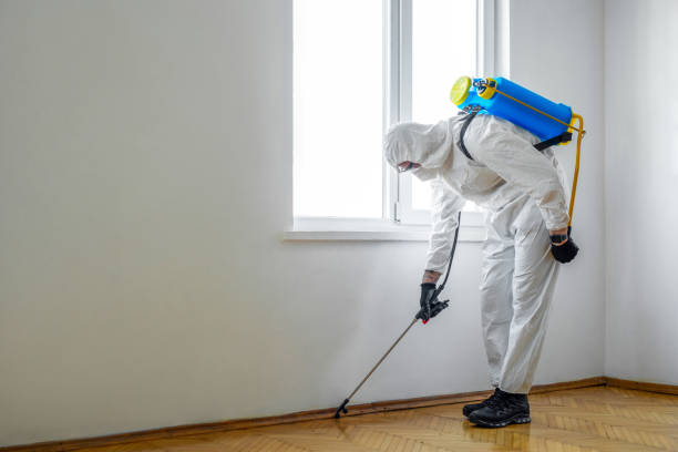 Best Best Pest Control Companies  in Woodland, WA