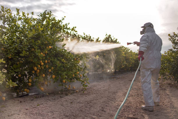 Best Pest Control Near Me  in Woodland, WA