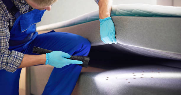 Best Emergency Pest Control  in Woodland, WA