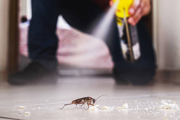 Best Pest Control for Businesses  in Woodland, WA