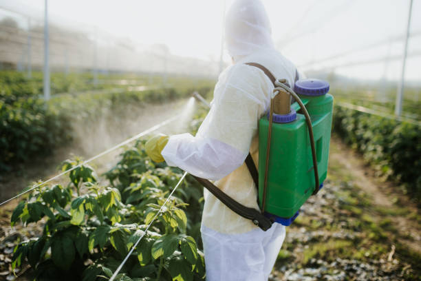 Best Ant Control Services  in Woodland, WA